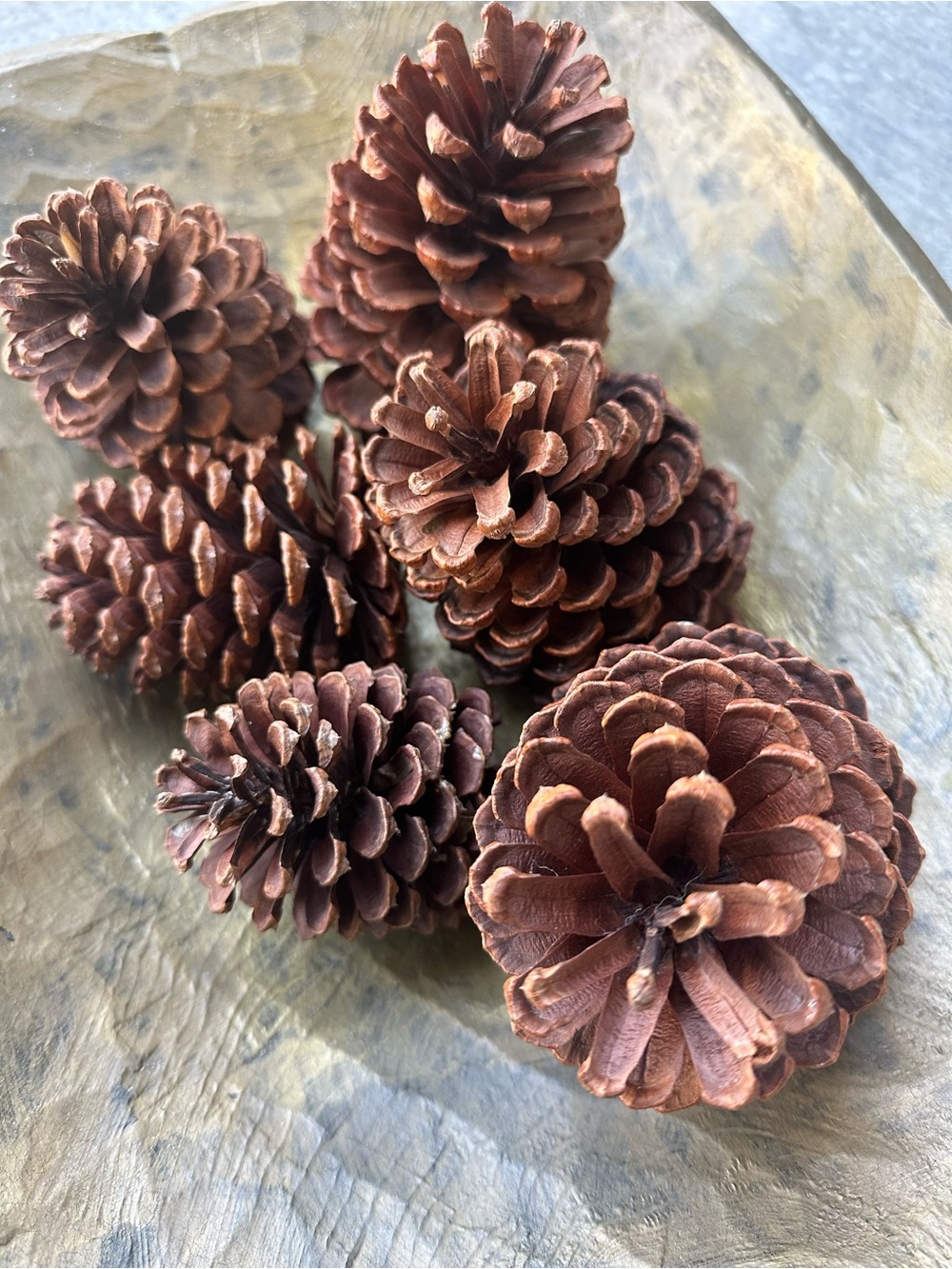 Natural Brown Pinecone Decorative Accents - Home Holiday